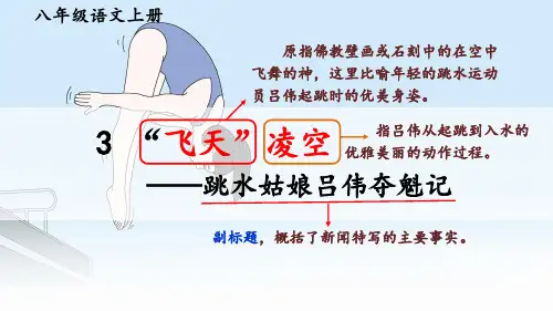 3 “飞天”凌空——跳水姑娘吕伟夺魁记