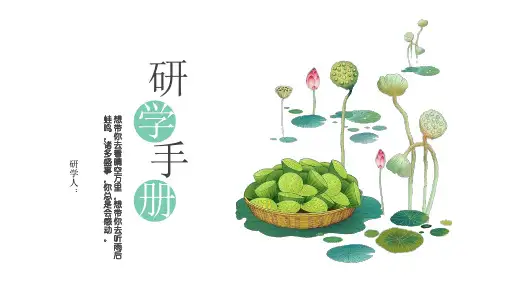 研学手册