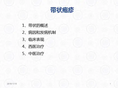 带状疱疹PPT课件