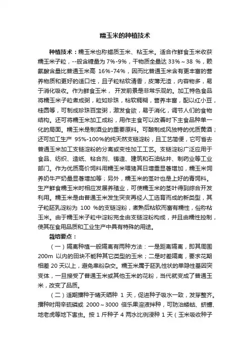 糯玉米的种植技术