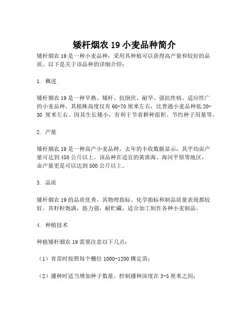 矮杆烟农19小麦品种简介
