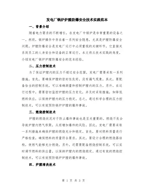 发电厂锅炉炉膛防爆安全技术实践范本