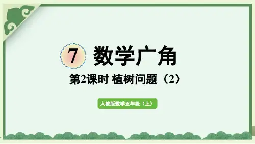 人教数学五年级上册植树问题(2)
