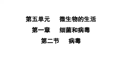 5.1.2 病毒  课件 冀少版生物八年级上册