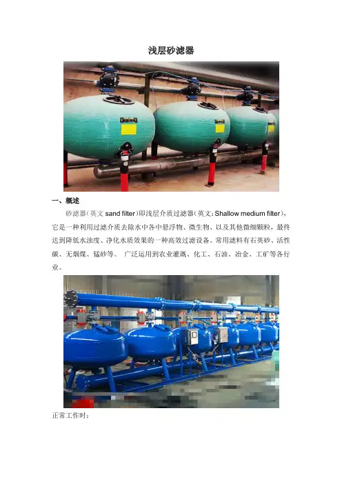 浅层砂滤器