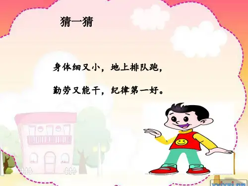 上天的蚂蚁PPT课件