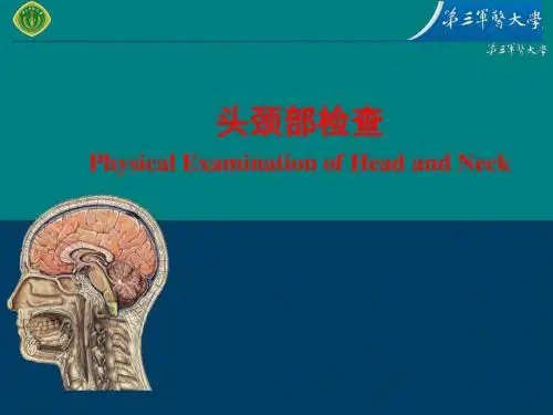 头颈部检查ppt课件