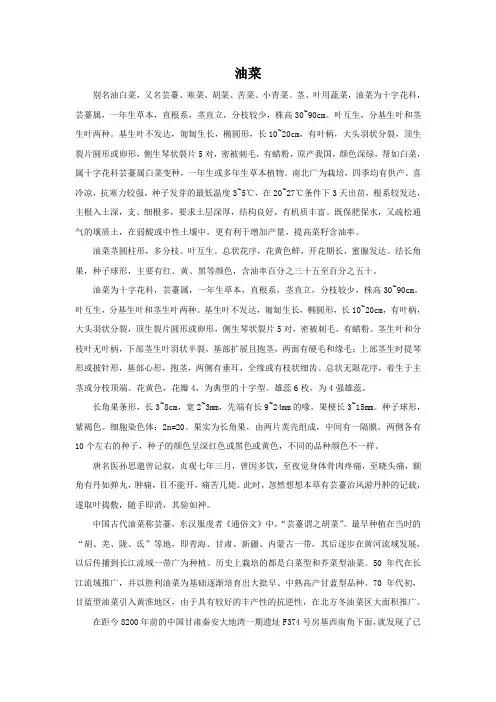 油菜介绍