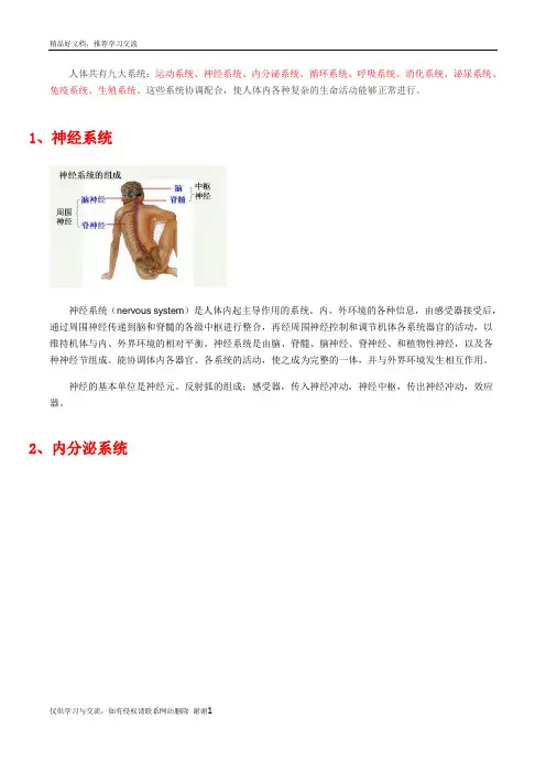 最新人体九大系统