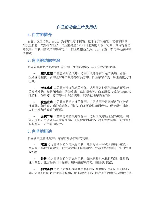 白芷的功能主治及用法