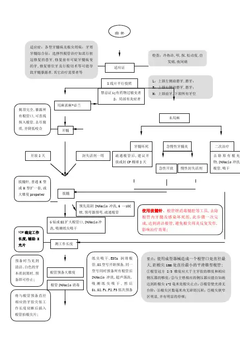 根管治疗操作流程