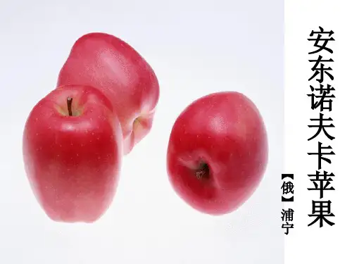 安东诺夫卡苹果