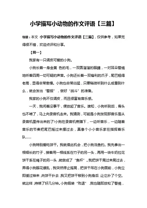 小学描写小动物的作文评语【三篇】