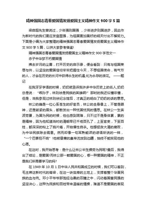 精神强国志青春爱国情发扬爱国主义精神作文900字5篇