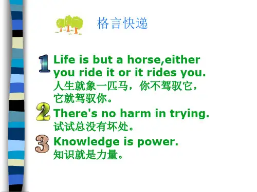 财政学之税收收入(PPT 47页)