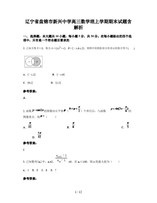 辽宁省盘锦市新兴中学高三数学理上学期期末试题含解析