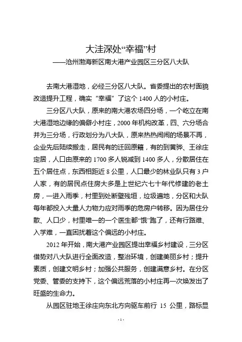 大洼深处“幸福”村
