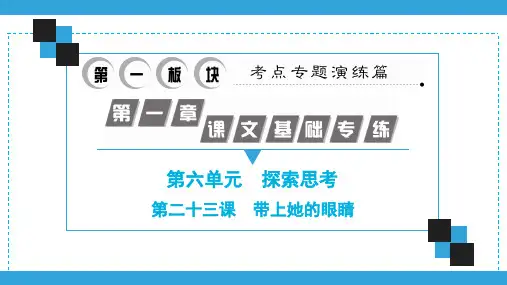 七年级语文下册期末专题复习(部编版)第23课 带上她的眼睛