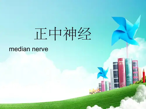 正中神经及其损伤ppt课件