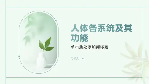 人体各系统及其功能