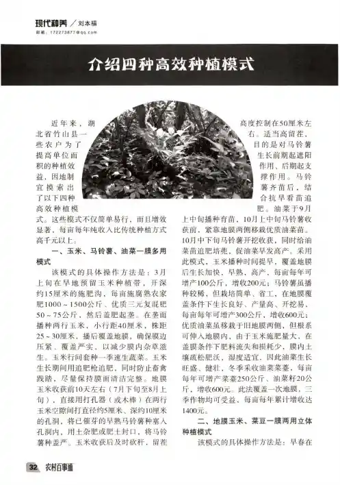介绍四种高效种植模式