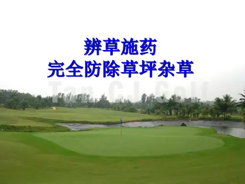 草坪杂草完全解决方案ppt版-45p