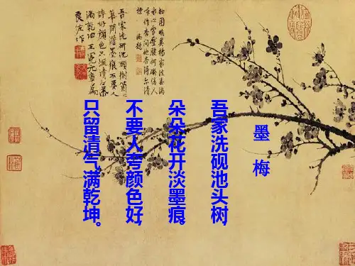 24《少年王冕》ppt