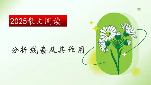 2025散文阅读——分析线索及其作用