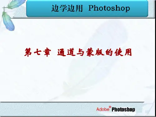 七章通道与蒙版的使用ppt课件