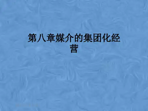 第八章媒介的集团化经营