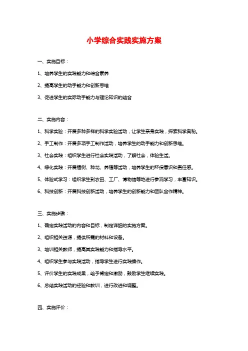 小学综合实践实施方案