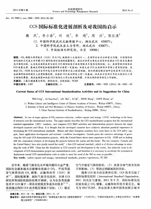 CCS国际标准化进展剖析及对我国的启示