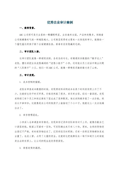 优秀企业审计案例