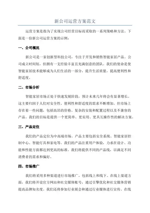新公司运营方案范文