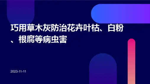 巧用草木灰防治花卉叶枯、白粉、根腐等病虫害