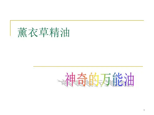 薰衣草精油PPT课件