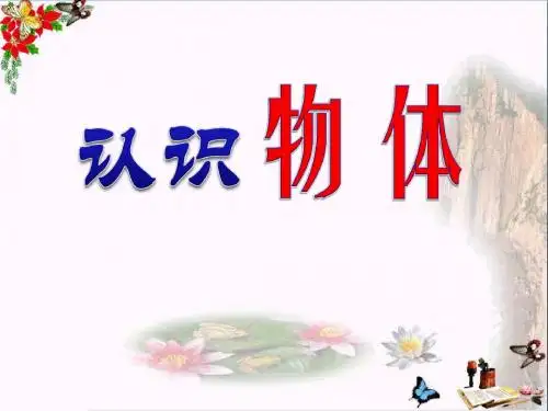 《认识物体》PPT课件