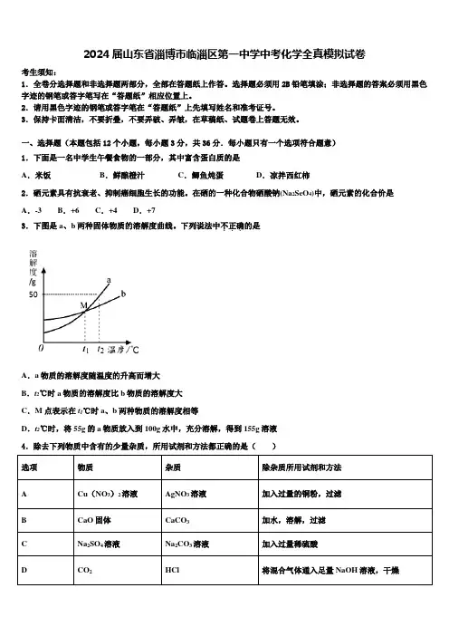 2024届山东省淄博市临淄区第一中学中考化学全真模拟试卷含解析