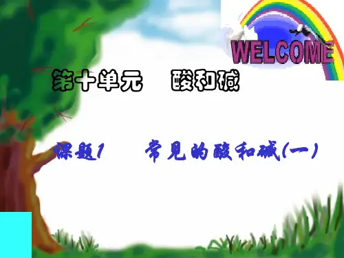 九年级化学下册第十单元课题1 常见的酸和碱课件人教新课标