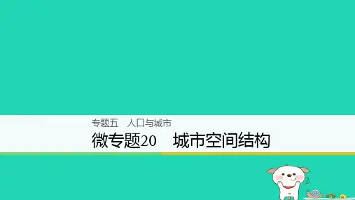 浙江版2018版高考地理大二轮复习专题五人口与城市微专题20城市空间结构课件