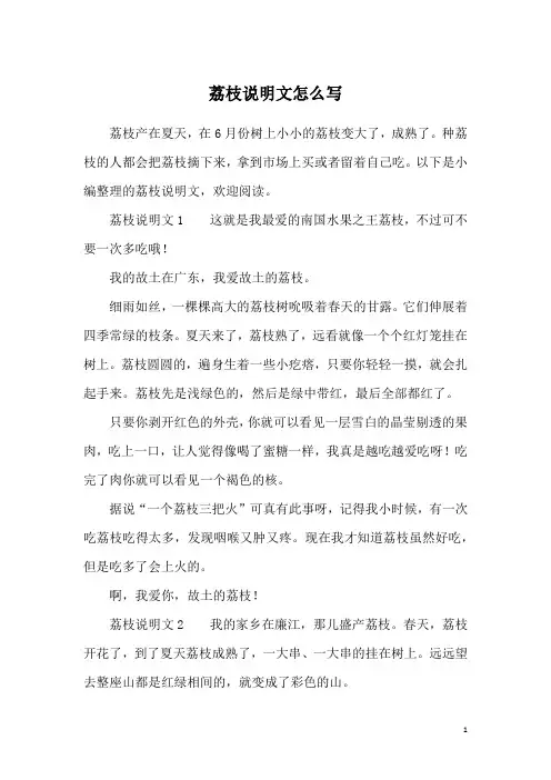 荔枝说明文怎么写
