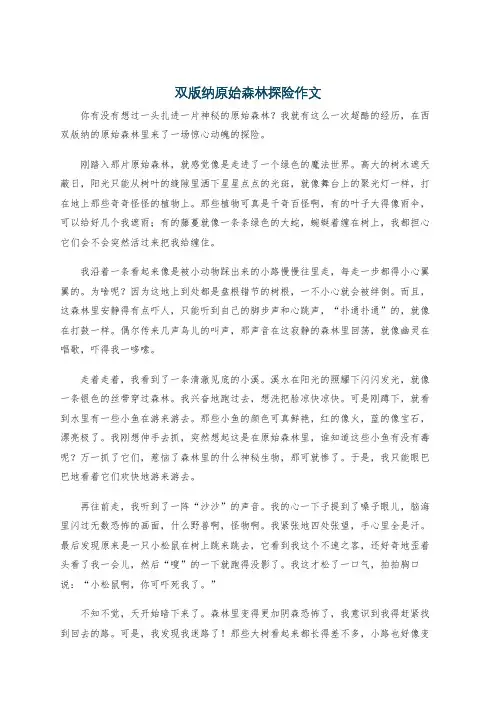 双版纳原始森林探险作文