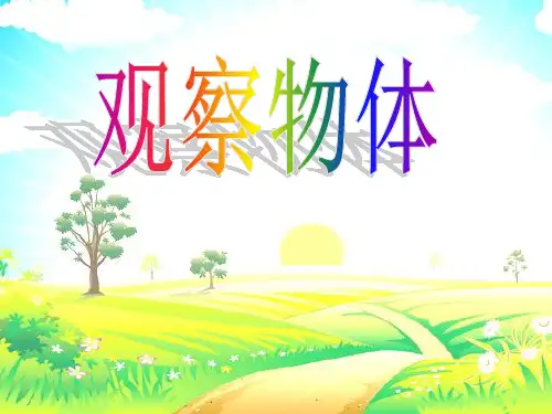 五年级下册数学课件-第一单元观察物体人教新课标2014秋