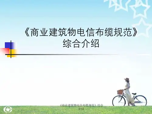 《商业建筑物电信布缆规范》综合介绍