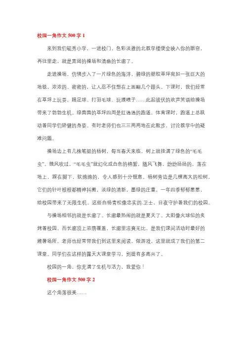 校园的一角动静结合作文500字