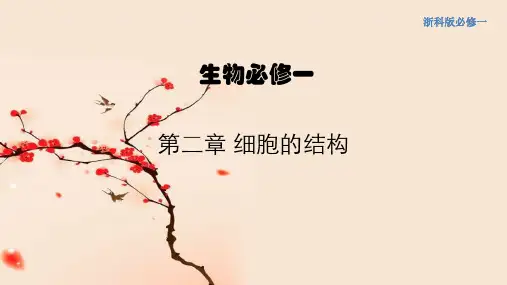 【新教材】2.1 细胞是生命的单位 课件(1)-浙科版高中生物必修1分子与细胞(共17张PPT)