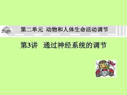 必修3第一轮复习第2单元  动物和人体生命活动调节课件.ppt