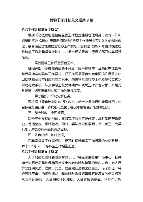 检验工作计划范文精选3篇