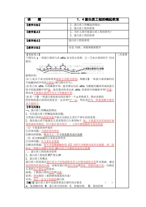 蛋白质工程的崛起教案