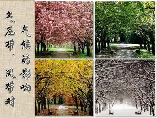 气压带和风带对气候的影响【精选】